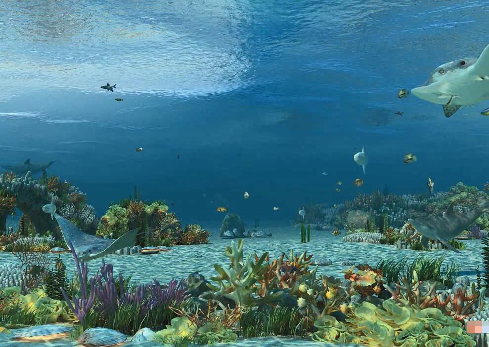 连云港高铁站公益宣传动画-海底
